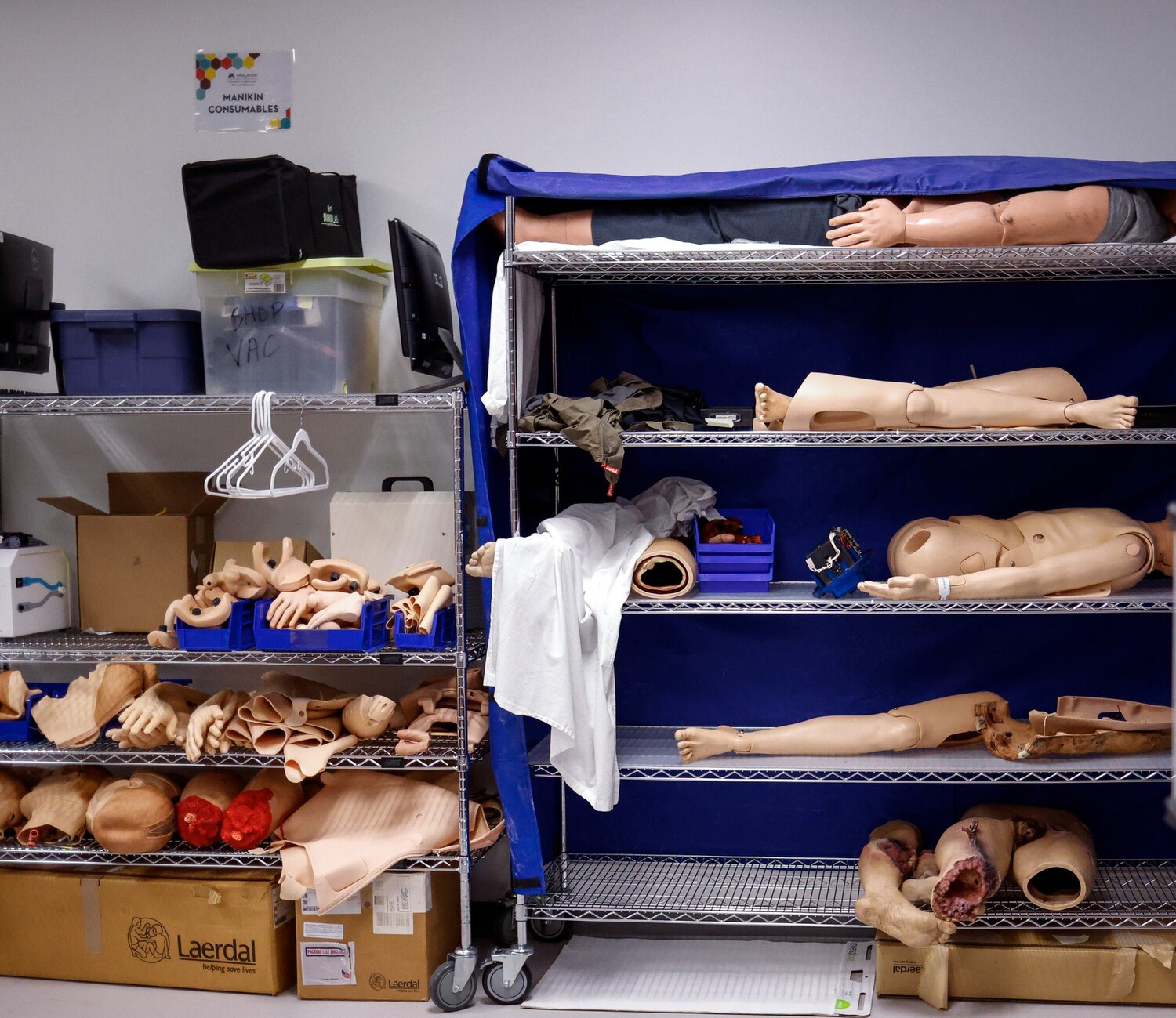 replicas of the human body and human body parts are stacked on shelves